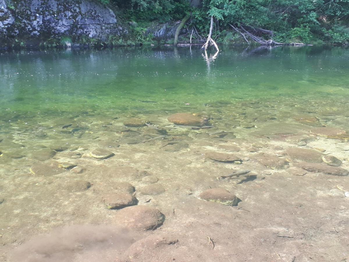 Appartamento La Meridiana A Traffiume Cannobio Εξωτερικό φωτογραφία